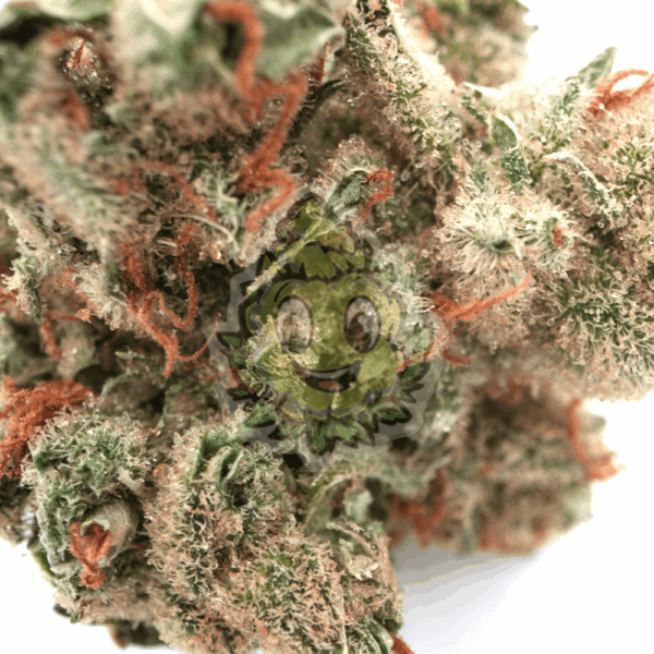 Amnesia Haze - Afbeelding 2