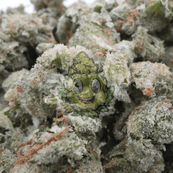 Amnesia Haze Gruis - 5 Gram - Afbeelding 2