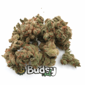 Amnesia Haze Lil Buds - 5 Gram