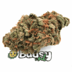 Amnesia Haze
