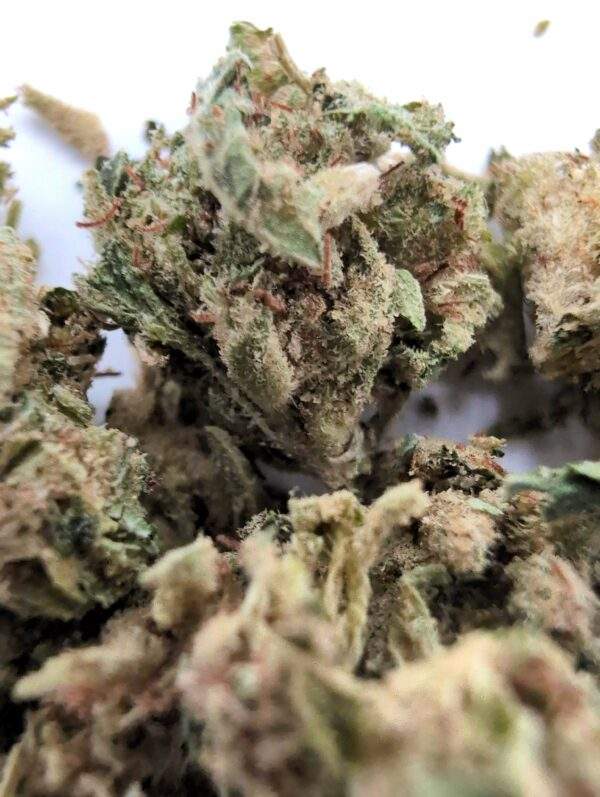 Kosher Kush Gruis Premium - 5 Gram - Afbeelding 2