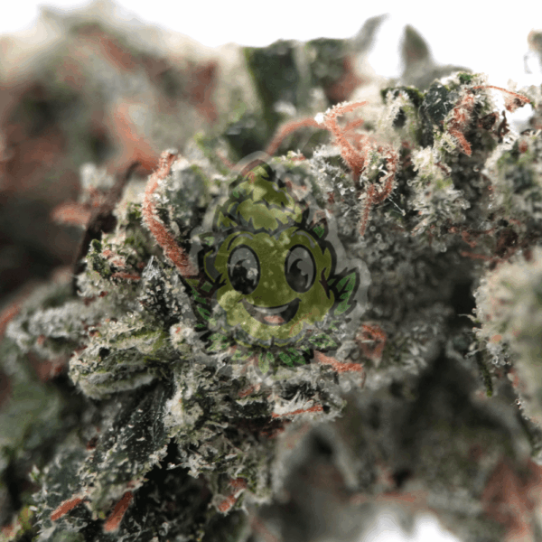 Kosher Kush - Afbeelding 2