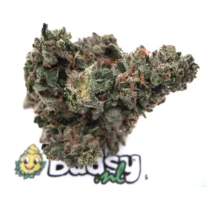 Kosher Kush