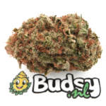 Pineapple Paradise