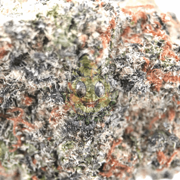 Rainbow MAC - Afbeelding 2