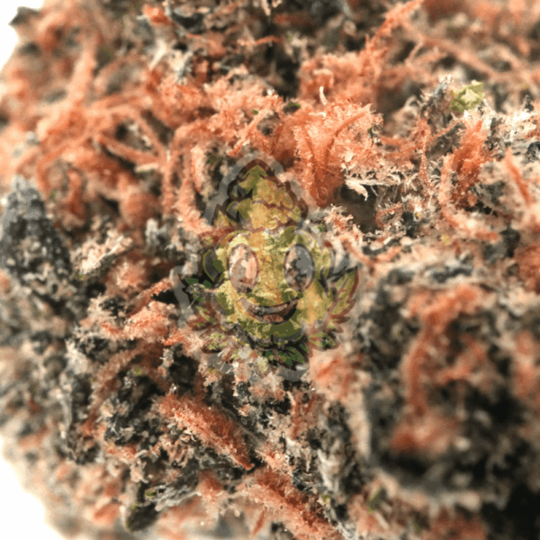 Sour Diesel - Afbeelding 2