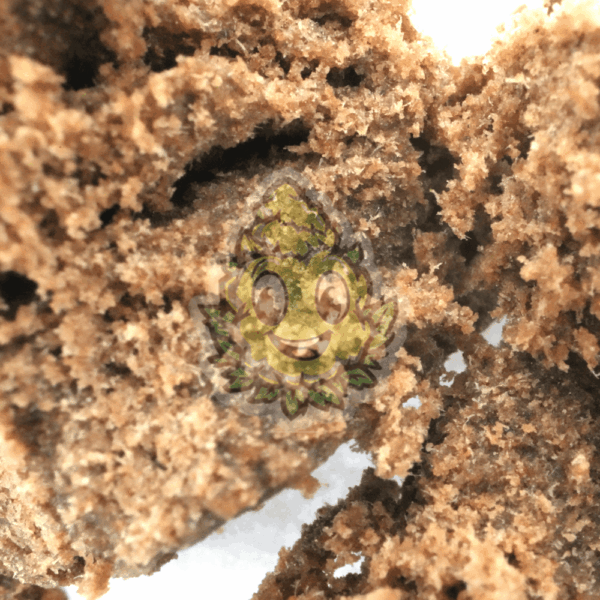 Super POLM - Figure 2