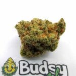 Amnesia Haze