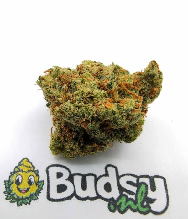 Amnesia Haze - Afbeelding 1