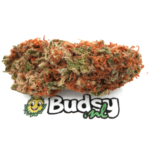 Bubble Gum