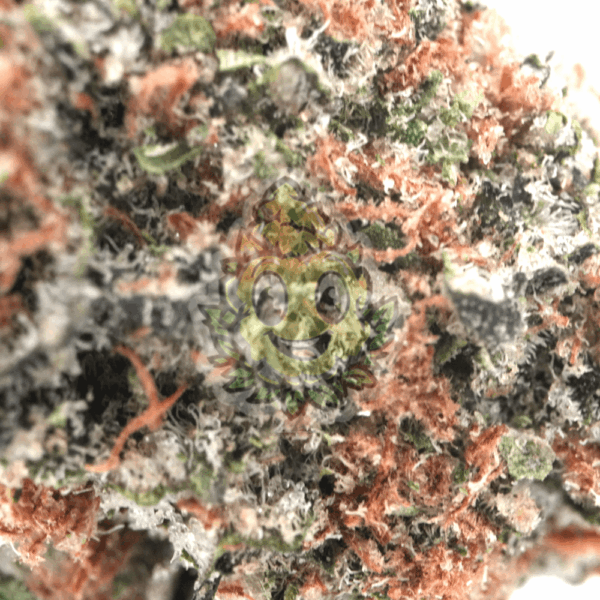 Cereal Milk- - Afbeelding 2