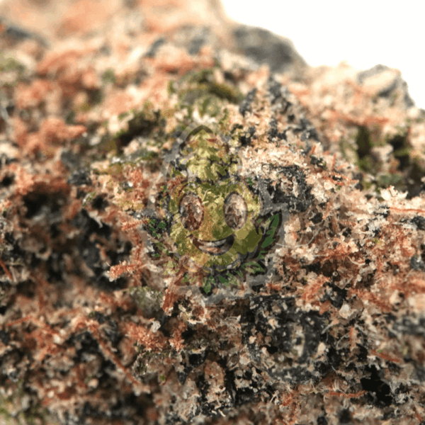 Cotton Candy - Afbeelding 2