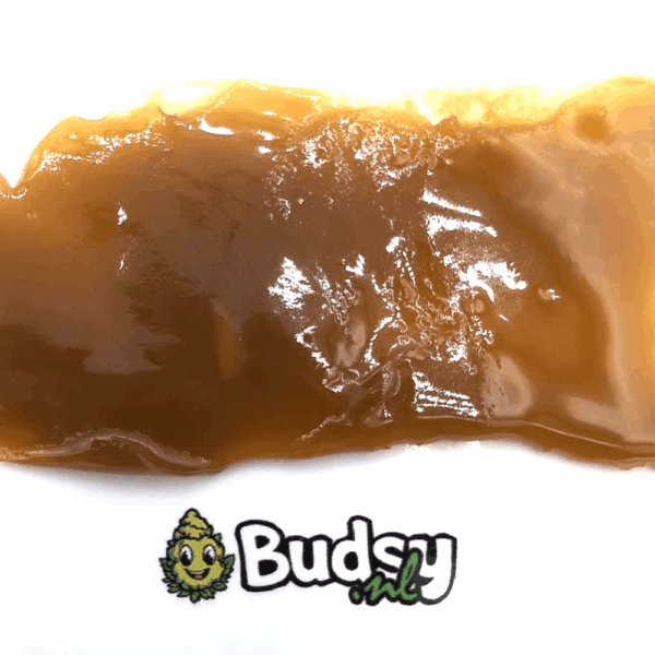 Shatter Gelato Shatter