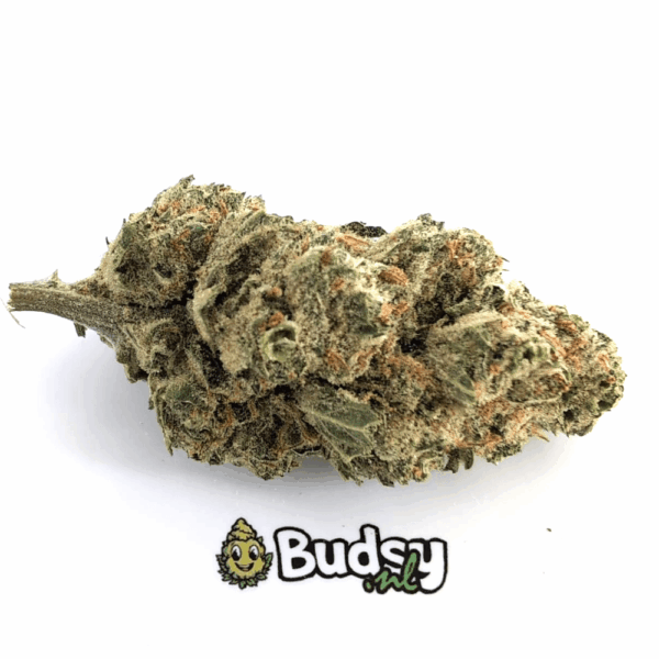 super-silver-haze Super Silver Haze - Afbeelding 1