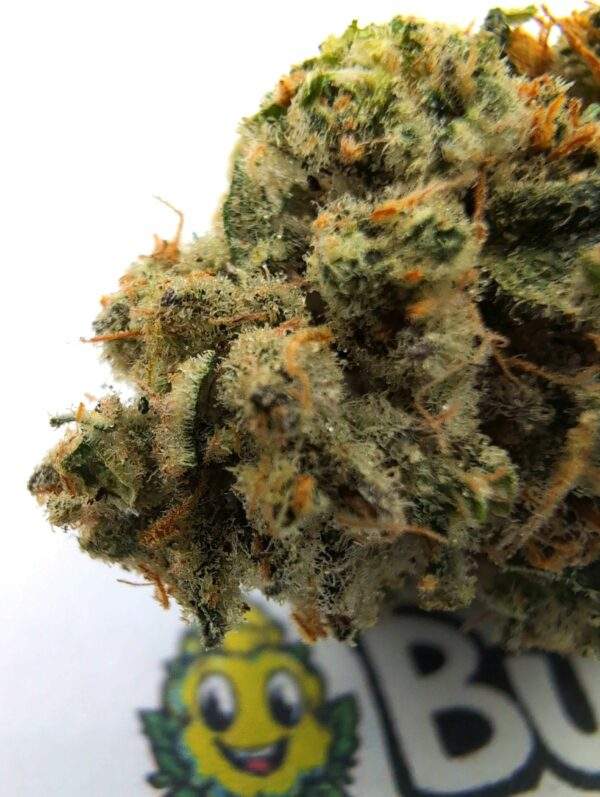 Banana Kush - Afbeelding 2