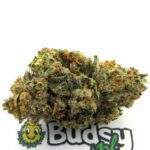 amnesia haze