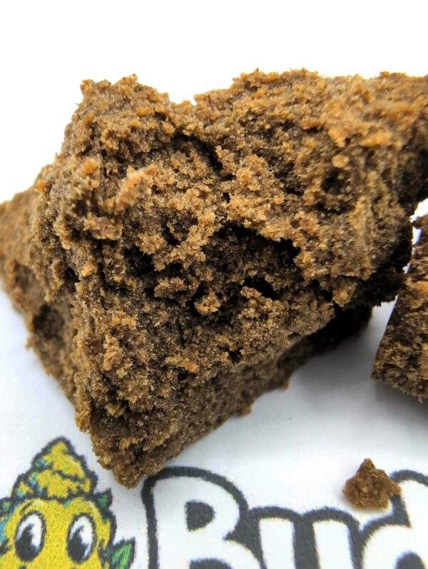 Barbara Bud 120u - Afbeelding 2