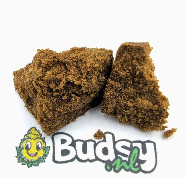 Barbara Bud 120u - Afbeelding 1