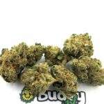 Cheese  Lil Buds - 5 Gram