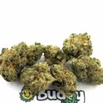Cheese  Lil Buds - 5 Gram