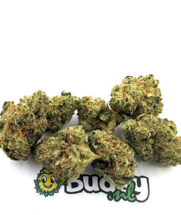 648 Banana Kush Lil Buds - 5 Gram - Afbeelding 1