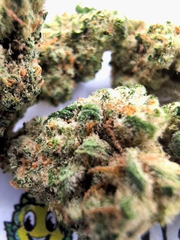 Banana kush Gruis - 5 Gram - Afbeelding 2