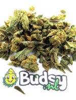 Cheese Gruis - 5 Gram