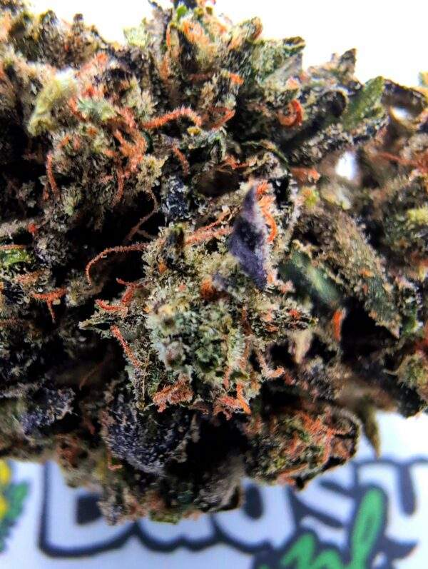 Cherry Pie - Afbeelding 2