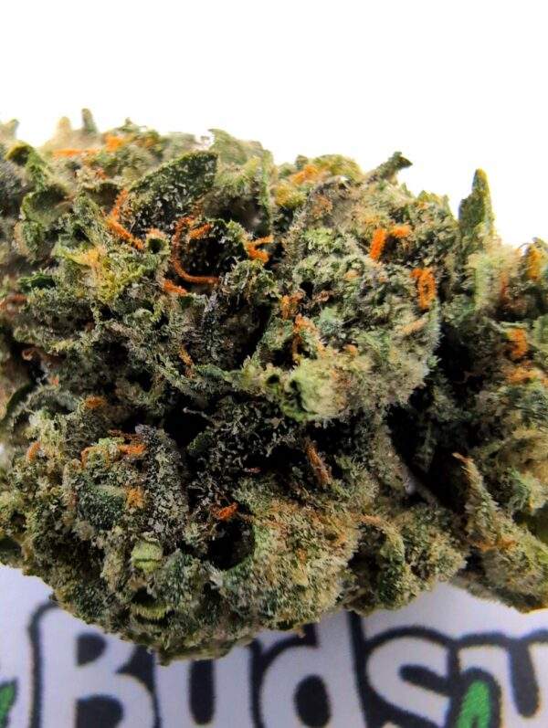 Ice Cream Cake - Afbeelding 2