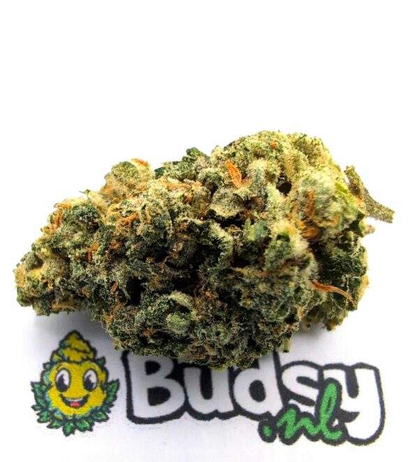 22510 Ice Cream Cake - Afbeelding 1