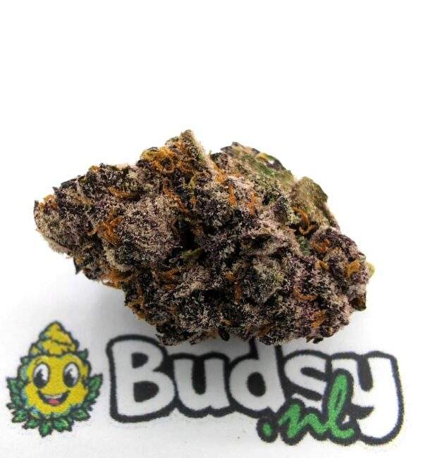 5806 Oreoz - Afbeelding 1