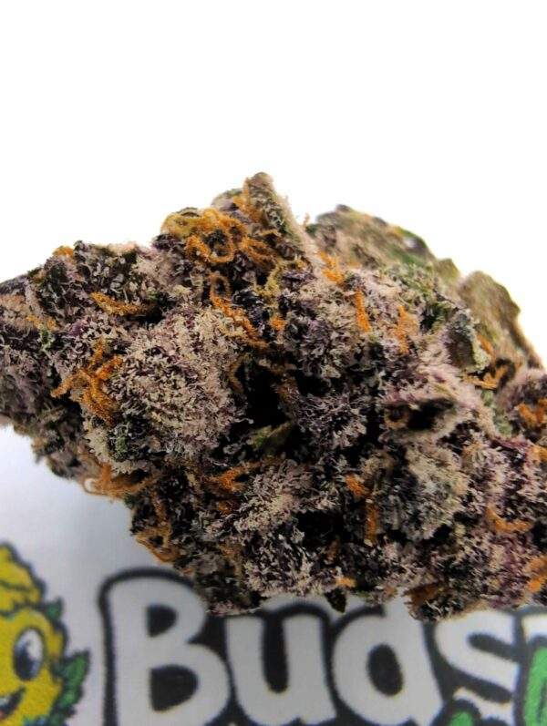 Oreoz - Afbeelding 2