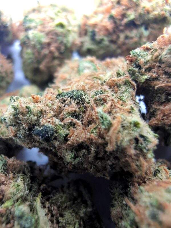 White Gelato Cake Lil Buds - 5 gram - Afbeelding 2