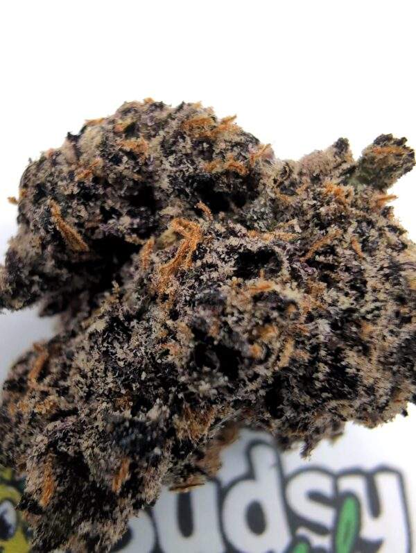 Lemon Cherry Gelato - Cali - Afbeelding 2