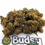 Mango Haze Lil Buds - 5 gram
