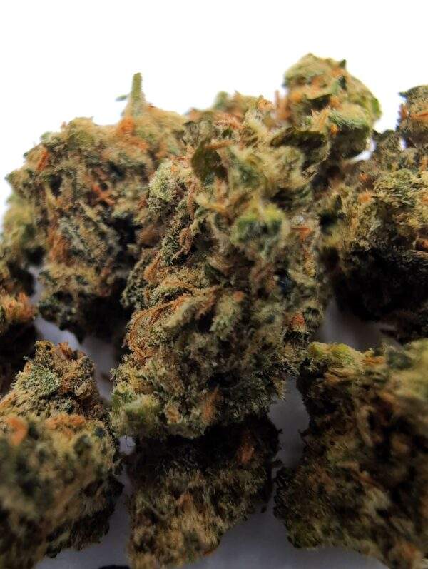 Mango Haze Lil Buds - 5 gram - Afbeelding 2