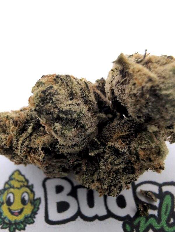 Do-Si-Dos - Afbeelding 2