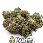 Lemon Haze Lil Buds - 5 gram
