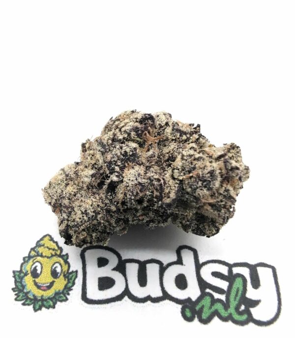 909 White Sherbert - Afbeelding 1