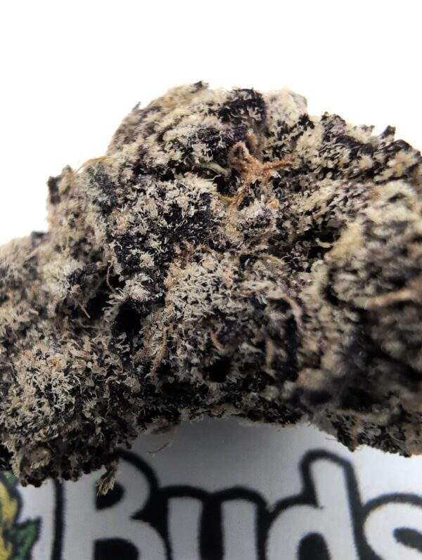 White Sherbert - Afbeelding 2