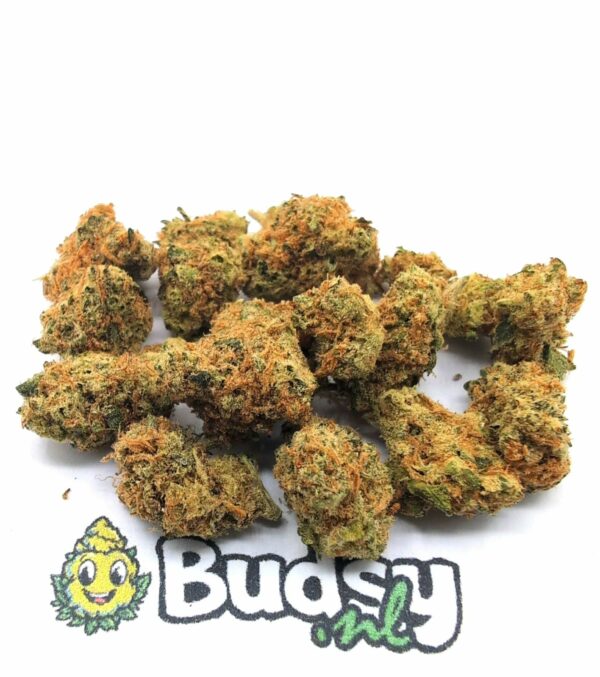 IMG_20251109_224927 White Gelato Cake Lil Buds - 5 gram - Afbeelding 1
