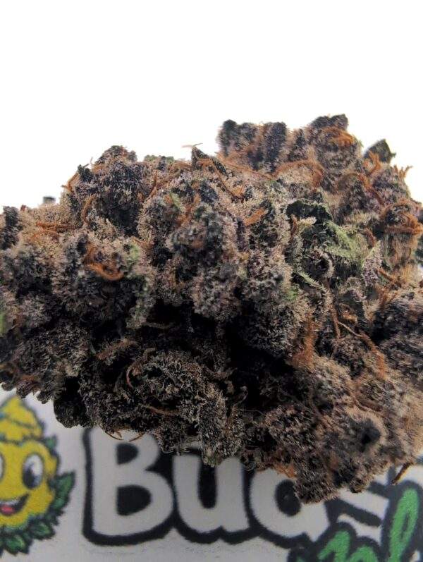 Tropical Cherry Premium - Afbeelding 2