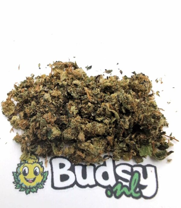 655 Lemon Dosidos - Cali gruis 5 Gram - Afbeelding 1