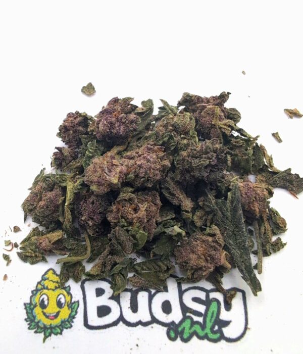 g1 Tropical Cherry Premium Gruis - 5 gram - Afbeelding 1