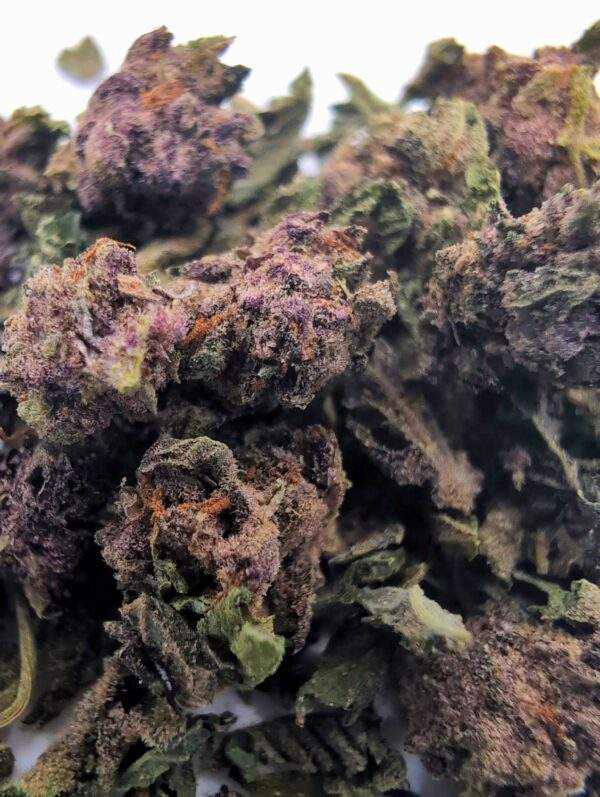 Tropical Cherry Premium Gruis - 5 gram - Afbeelding 2