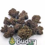 Tropical Cherry Lil Buds Premium - 5 Gram