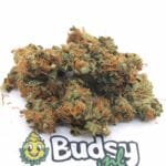 Pineapple Paradise Lil Buds - 5 Gram