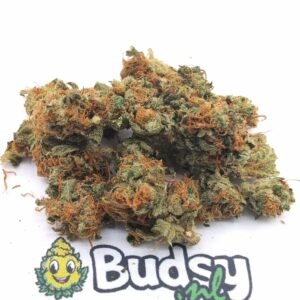 Pineapple Paradise Lil Buds - 5 Grams