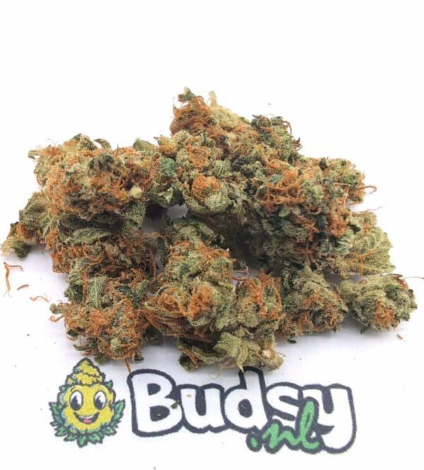 2pg Pineapple Paradise Lil Buds - 5 Gram - Afbeelding 1