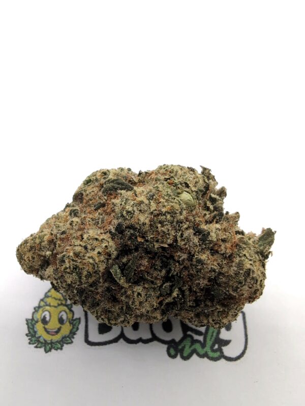 IMG_20260602_155718 Grand Daddy Purple - Afbeelding 1